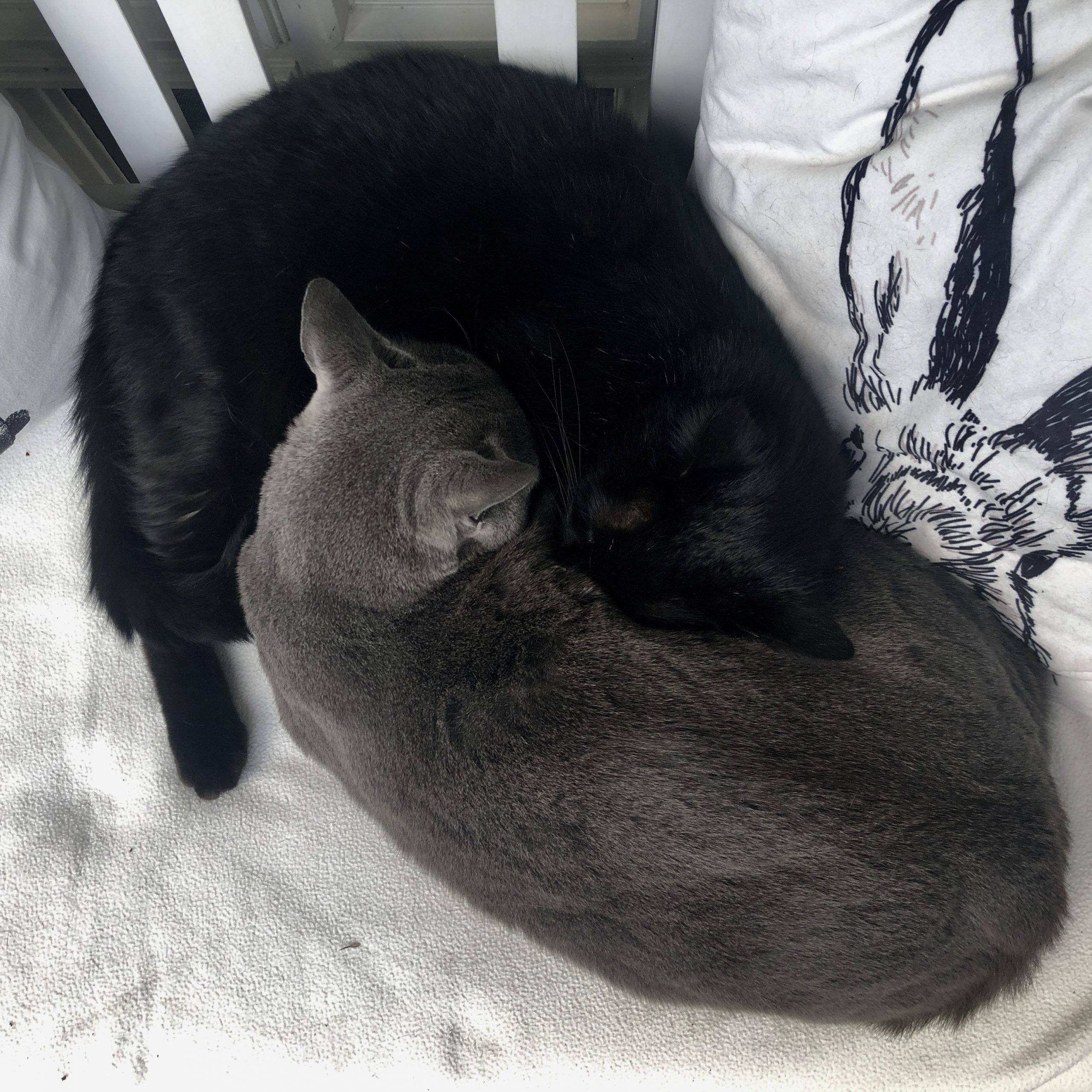 Milo & Jerry